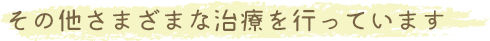 その他さまざまな治療を行っています